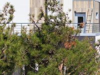 Май 2017. Ход строительства.