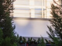 Ход строительства. Январь 2018