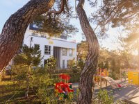 Ход строительства. Январь 2018