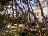 Ход строительства. Январь 2018